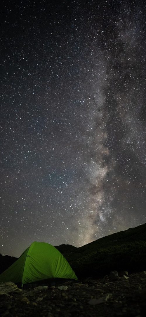 星空体育下载 App 数据中心界面，折线与柱状图表叠加展示球队走势，深色卡片配金色数值